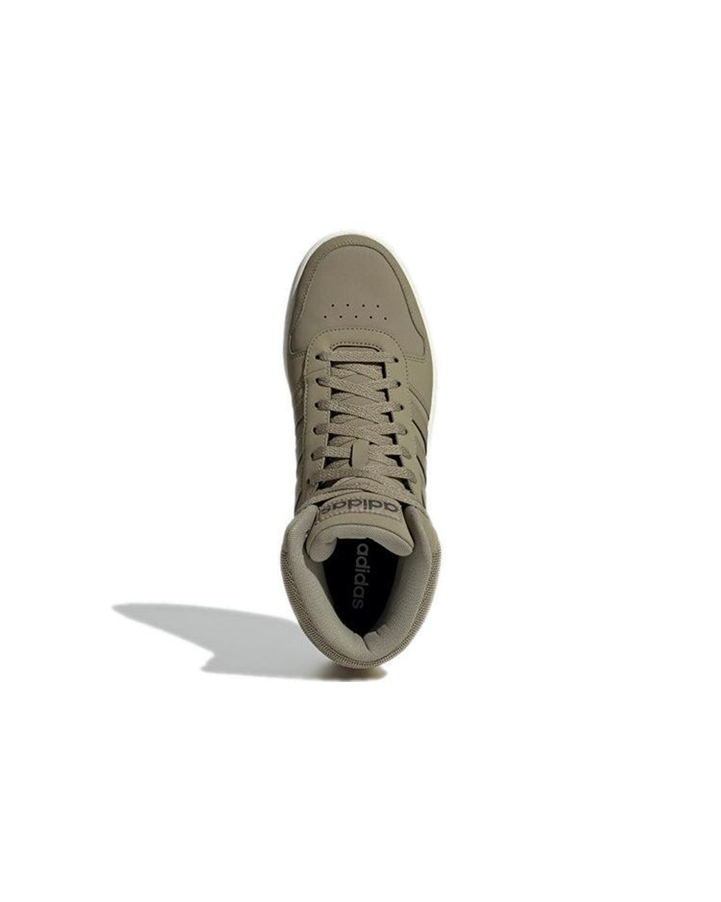 Adidas Brown Hoops 2.0 Mid for men