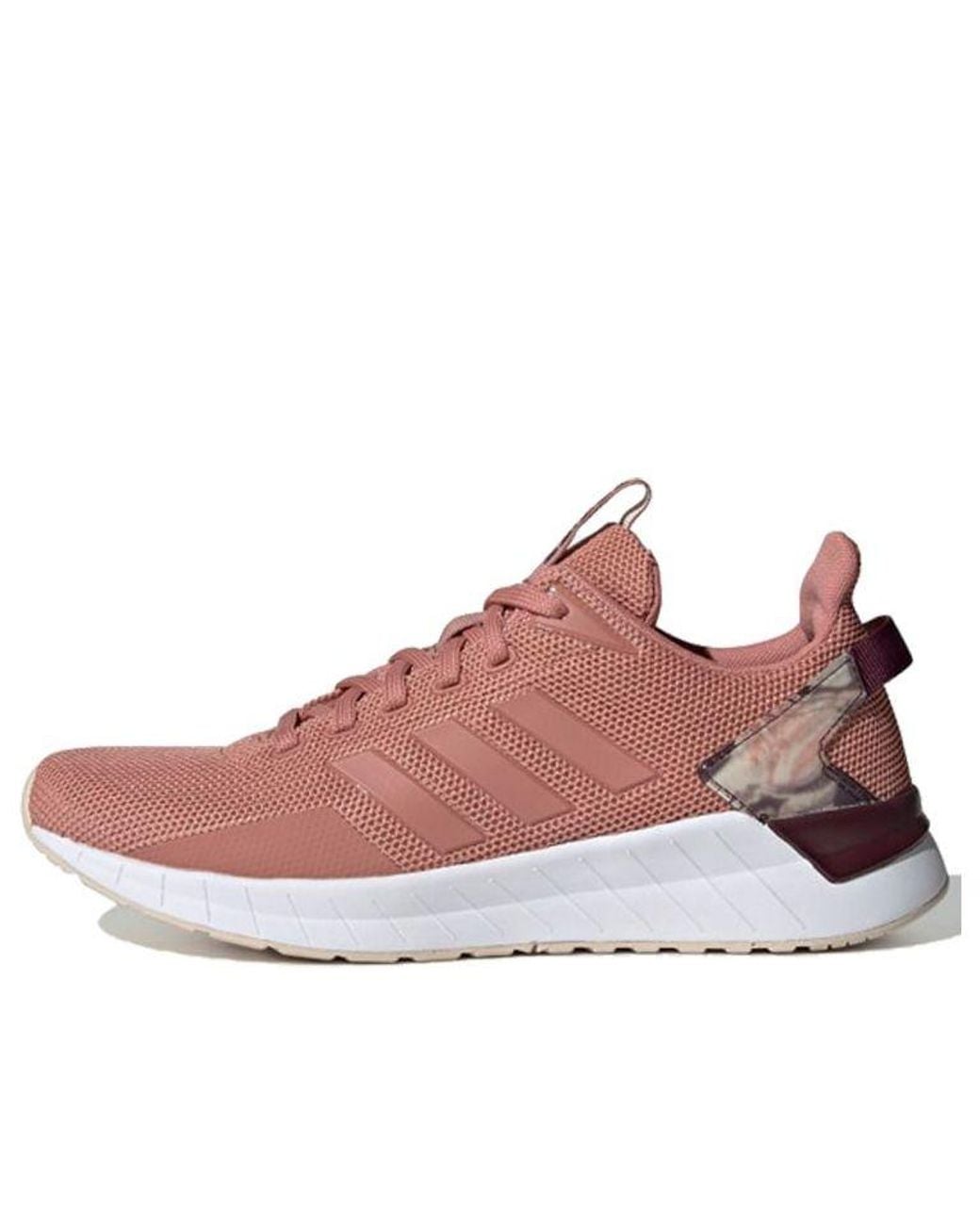 Adidas Brown (Wmns) Neo Questar Ride