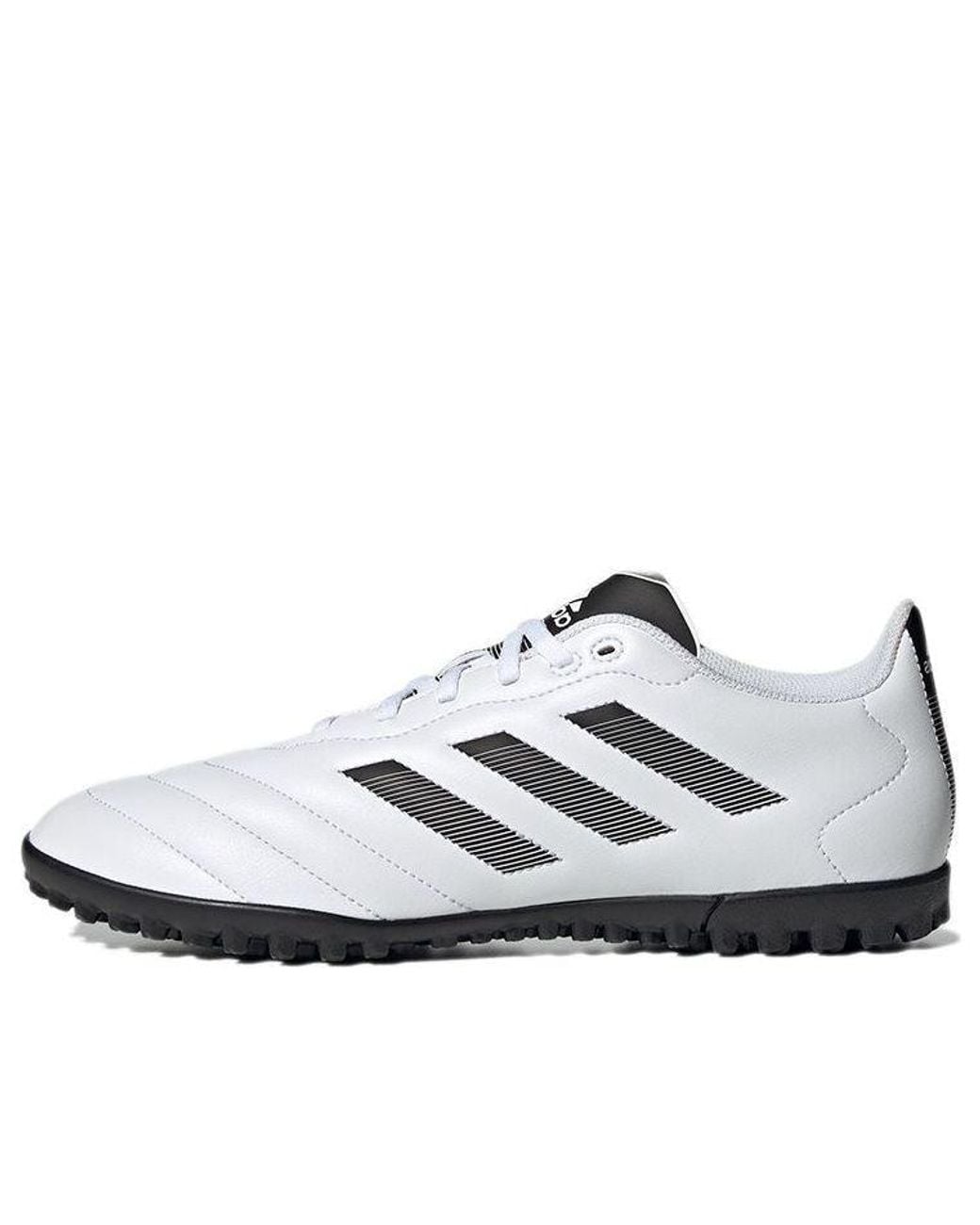 Adidas White Goletto Viii Tf for men
