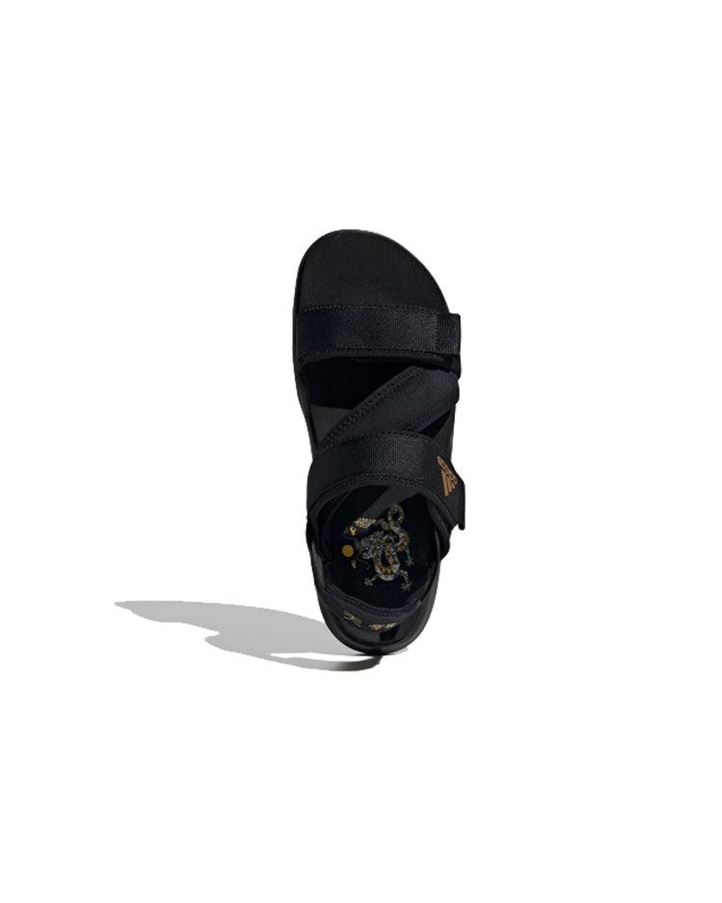 Adidas Blue Terrex Sumra Sports Sandals for men