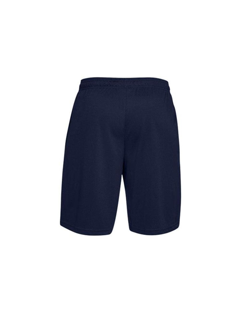 Under Armour Blue Tech Mesh Shorts for men
