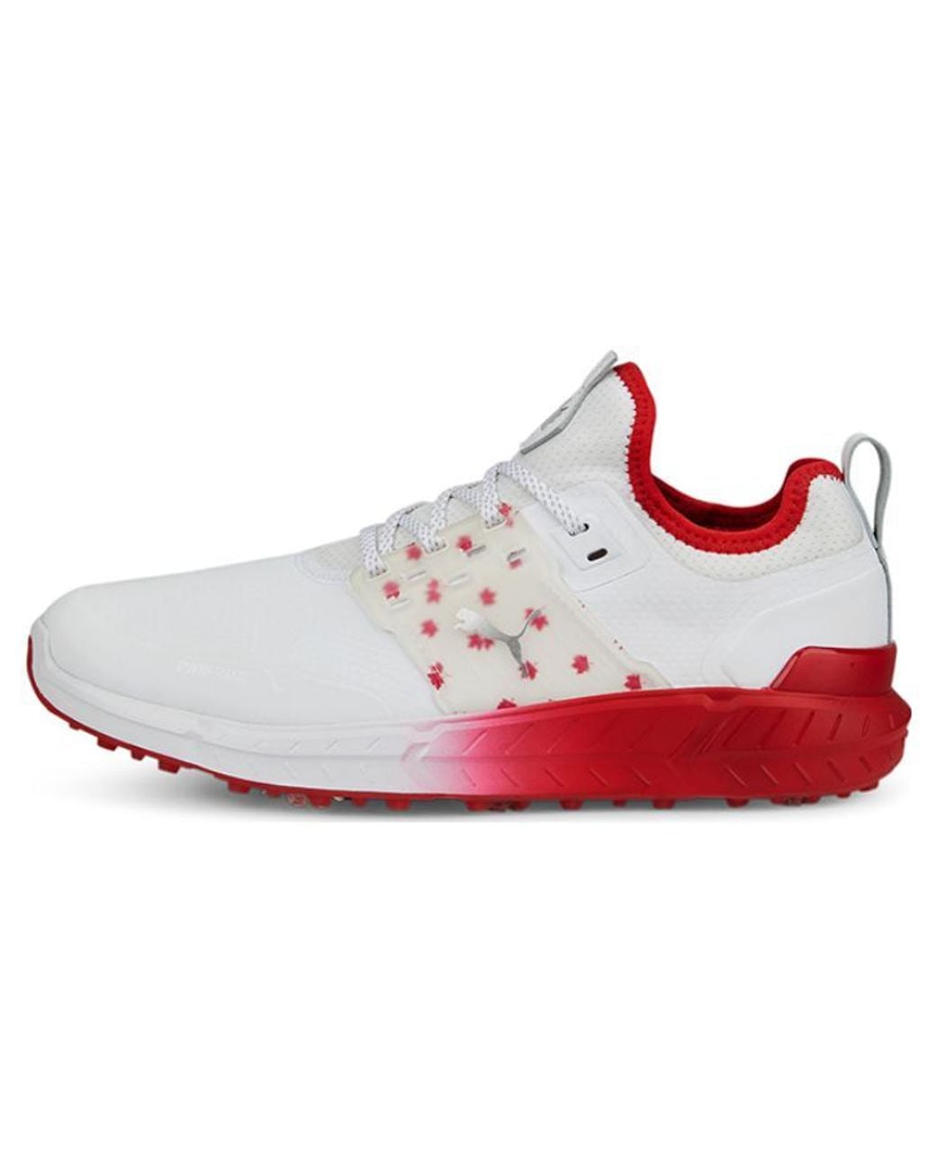 PUMA White Ignite Articulate Maple Golf Shoes for men
