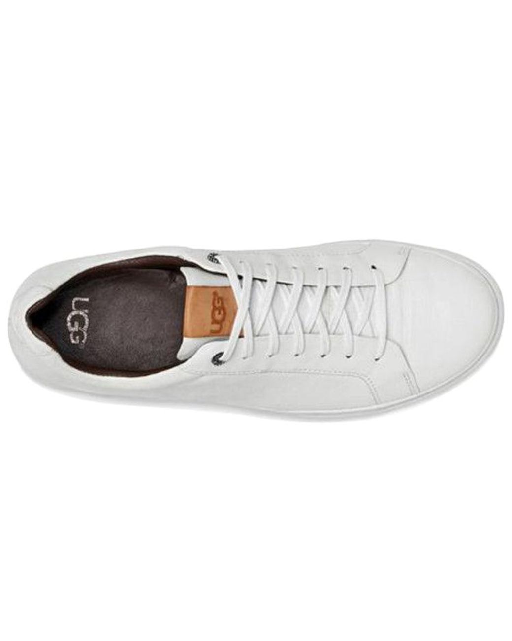 Ugg White Cali- Skate Shoes for men