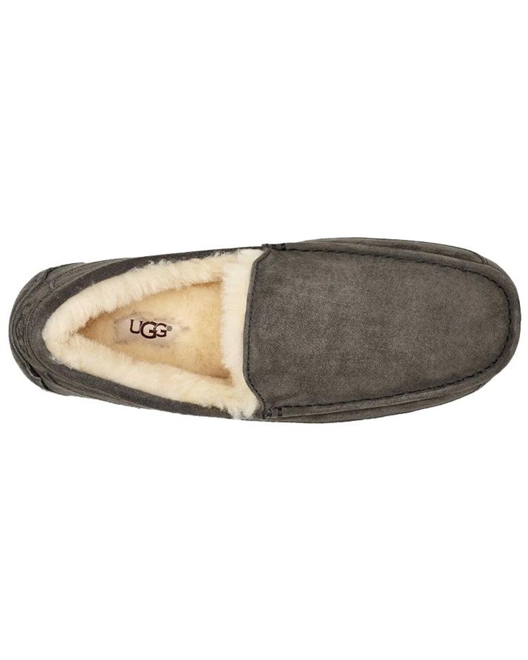 Ugg Brown Ascot Slipper Cozy Fleece Lined Athleisure Casual Sports Shoe for men