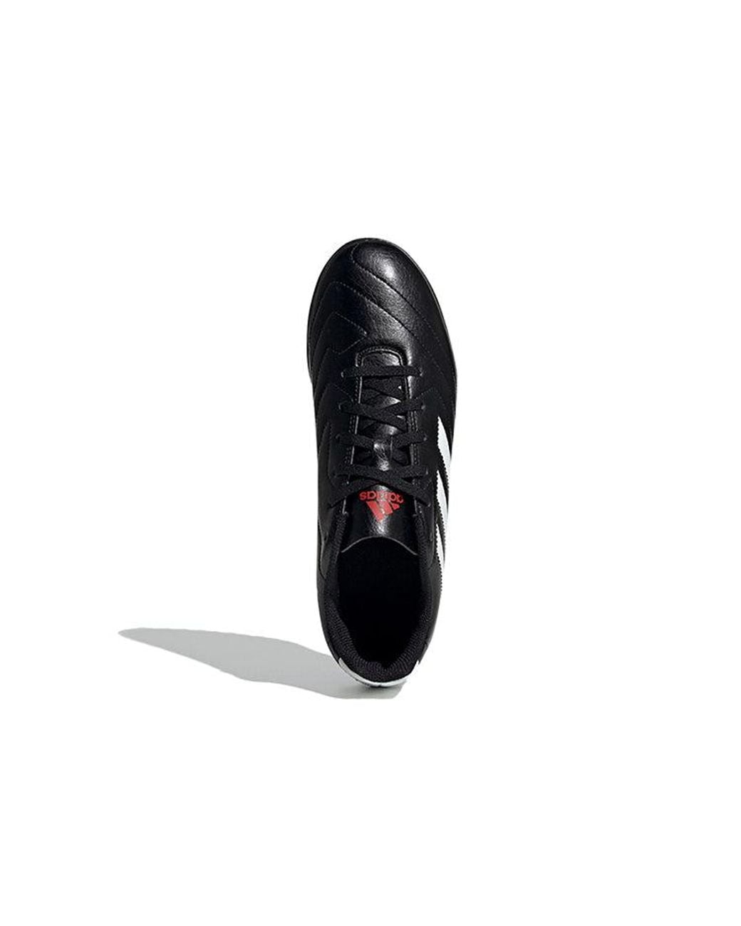 Adidas Black Gloetto 7 Tf for men