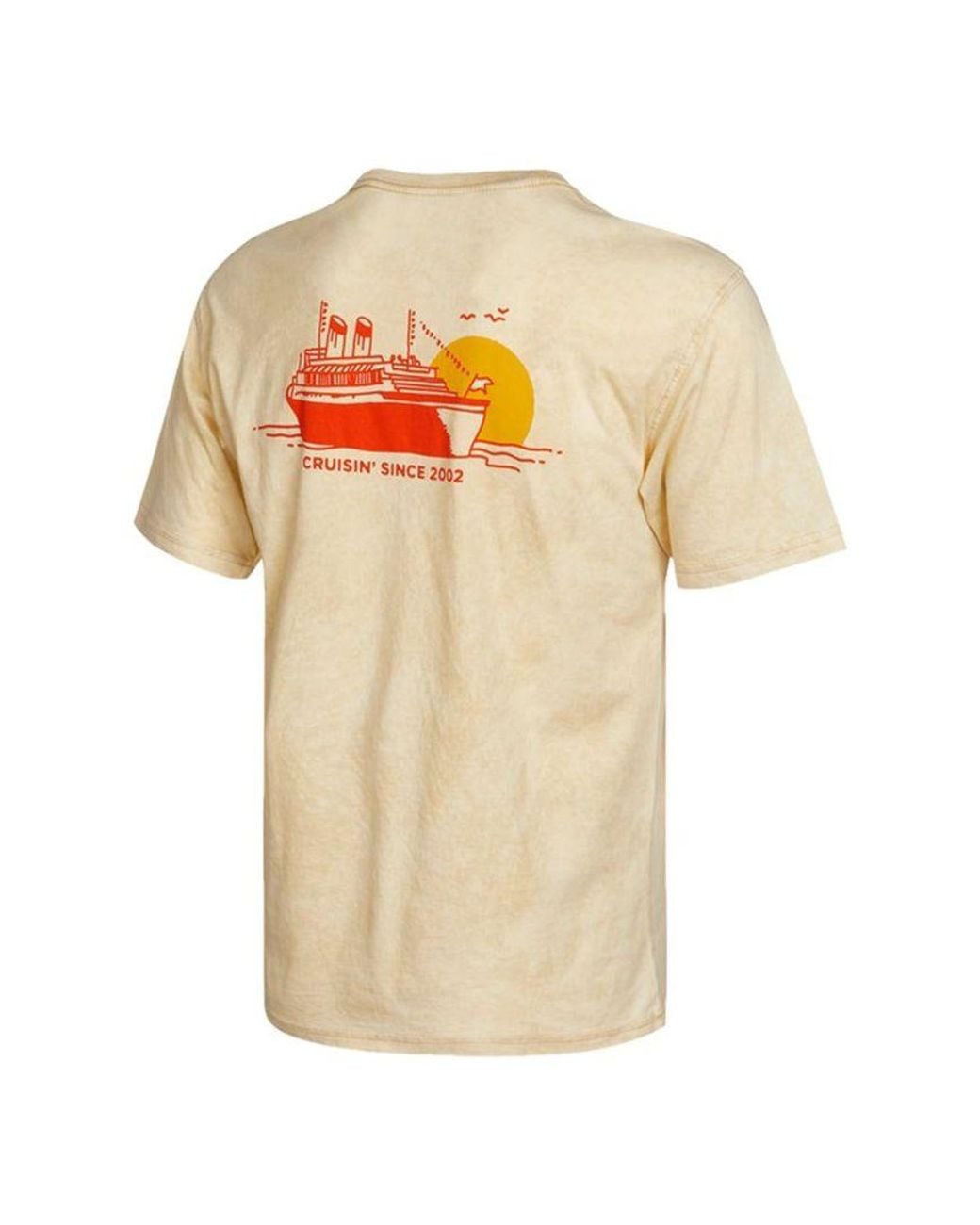 Nike Natural Sb Back Printing Washed Sports Skateboard Short Sleeve for men