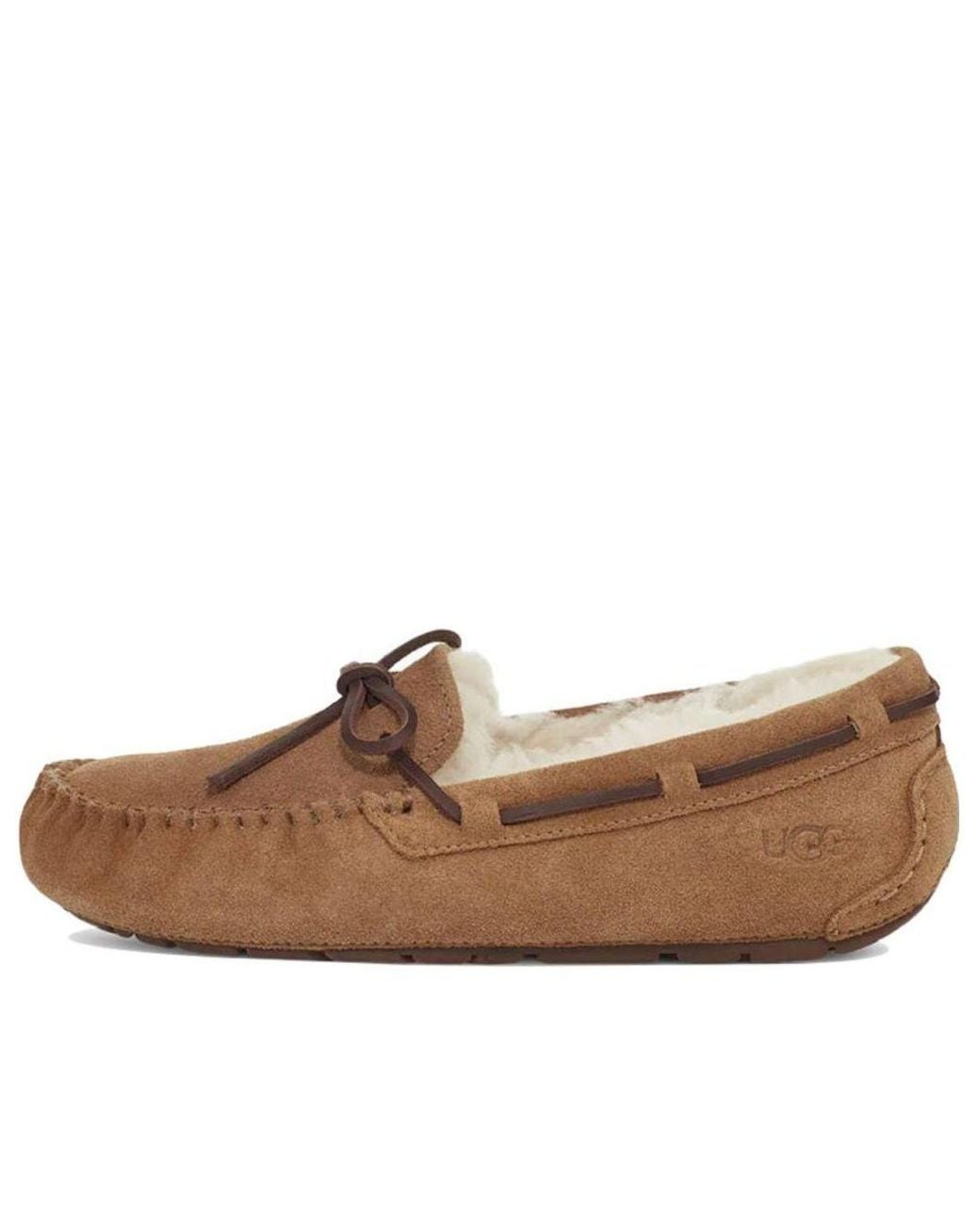 Ugg Brown (Wmns) Dakota