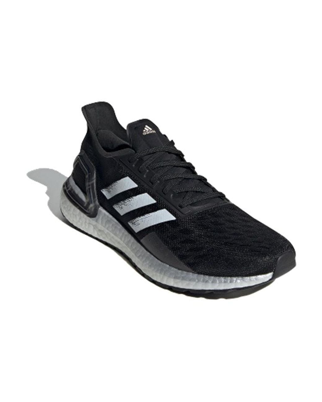 Adidas Blue Ultraboost Pb for men