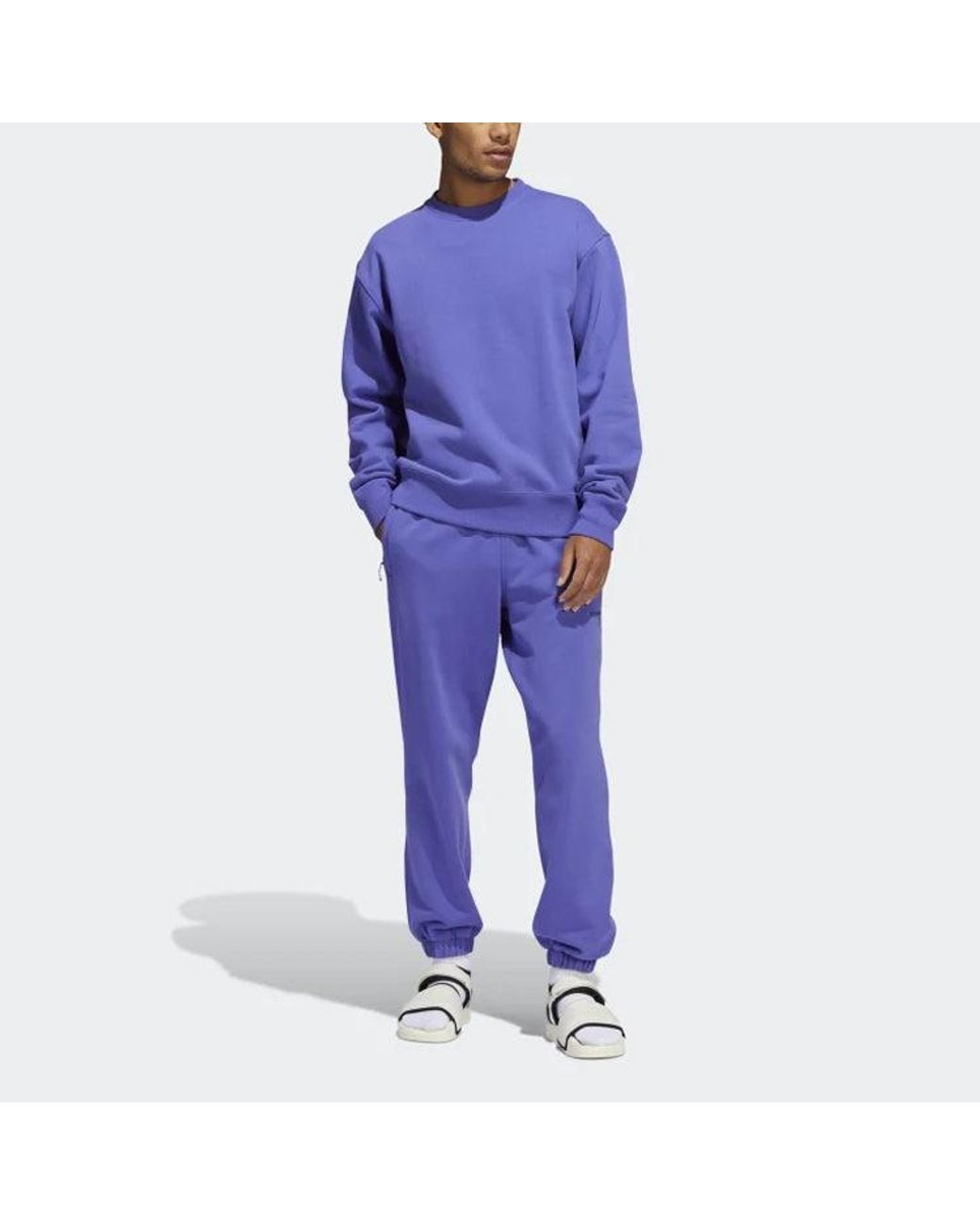 Adidas Blue X Pharrell Basic Sports Sweatshirt for men