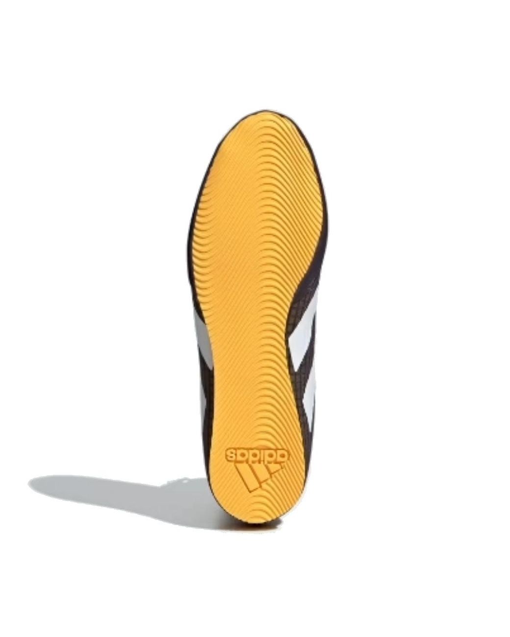 Adidas Blue Box Hog 4 Shoes for men