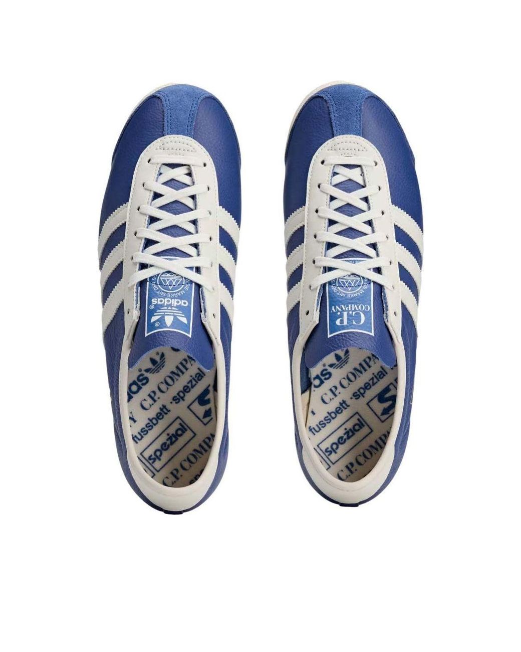 Adidas Blue X C.P. Company Italia Spzl 'Collegiate Royal' for men