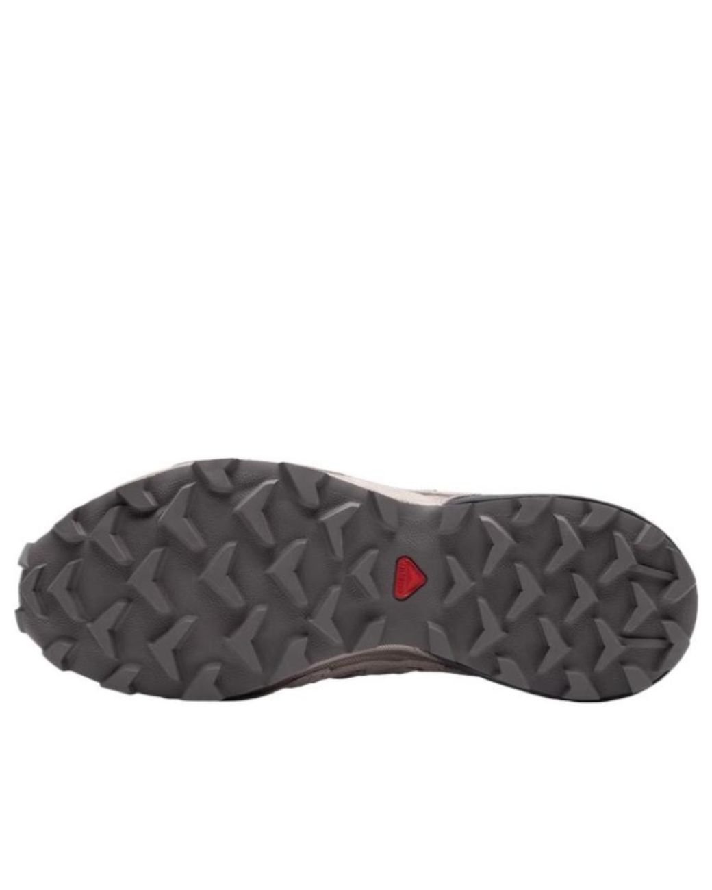 Salomon Gray Speedcross 3 Expanse Ltr for men
