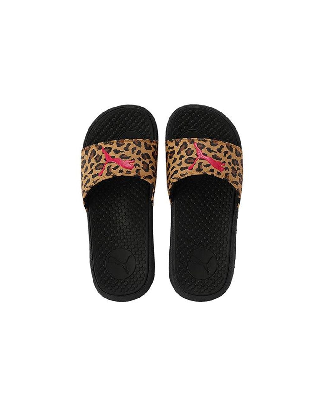 PUMA Brown (Wmns) Cool Cat Sports Leopard Slipper
