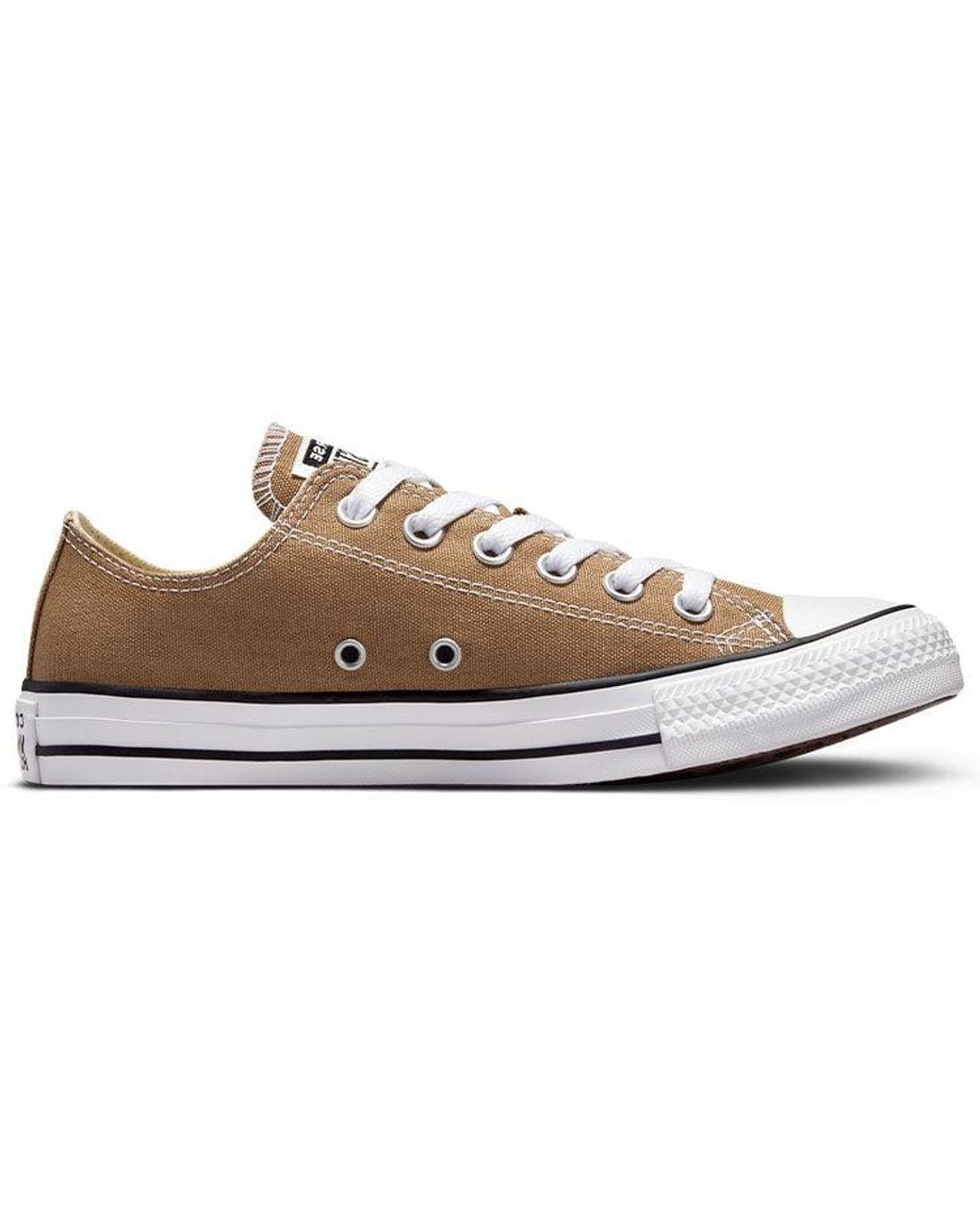 Converse Brown All Star Low Top Casual Canvas Shoe for men