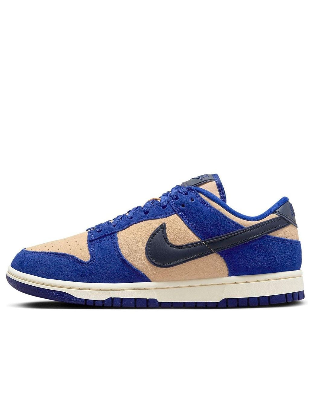 Nike Blue Dunk Low Shoes