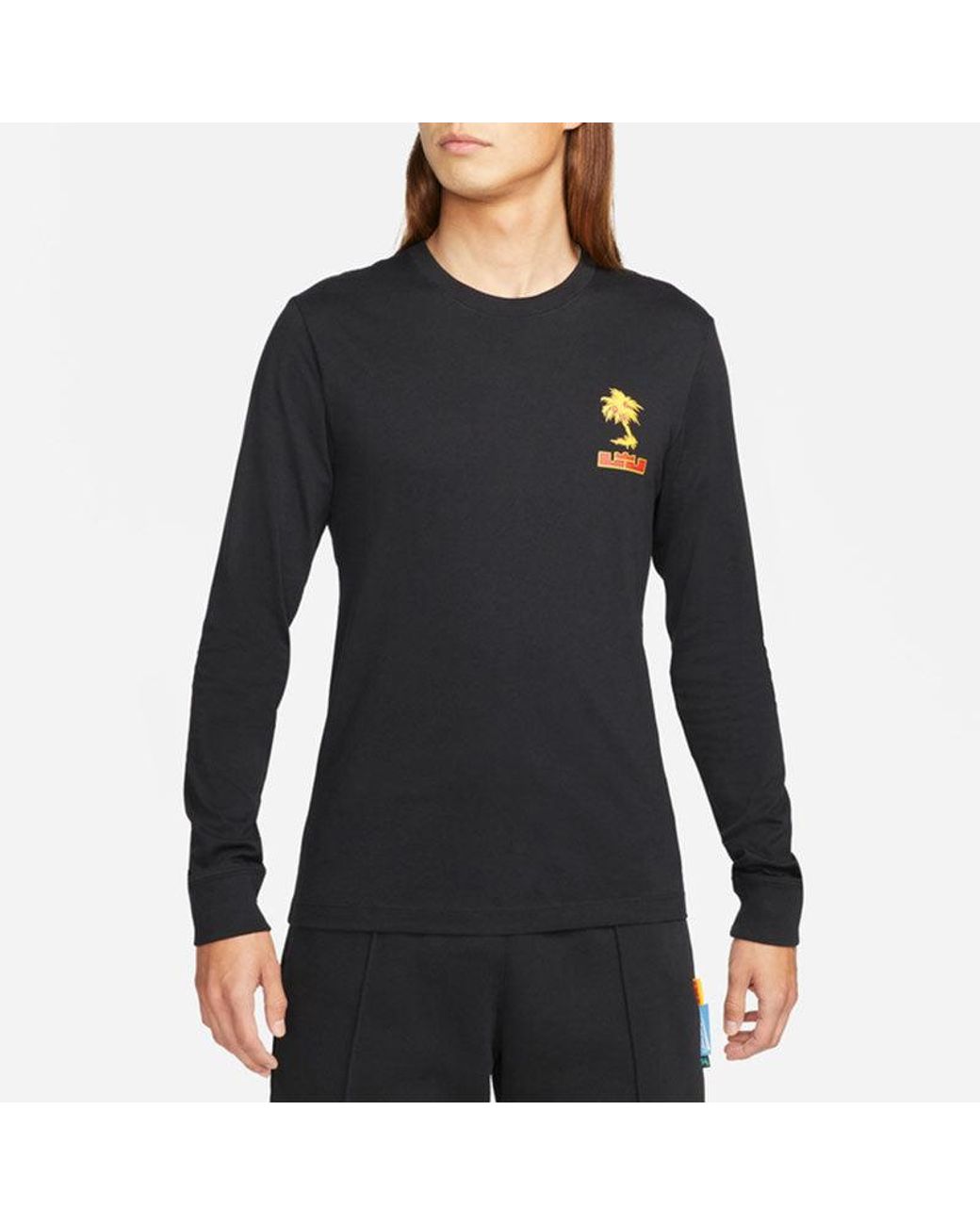 Nike Blue Lebron Sfg Basketball Sports Printing Round Neck Long Sleeves T-Shirt for men