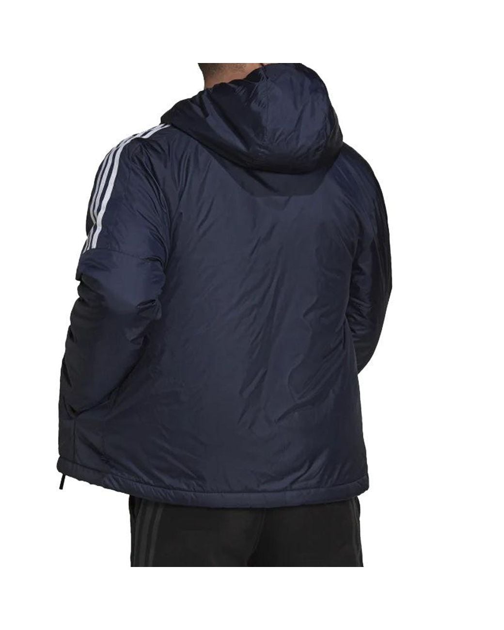 Adidas Blue Essentials Insulated Hooded Jacket for men