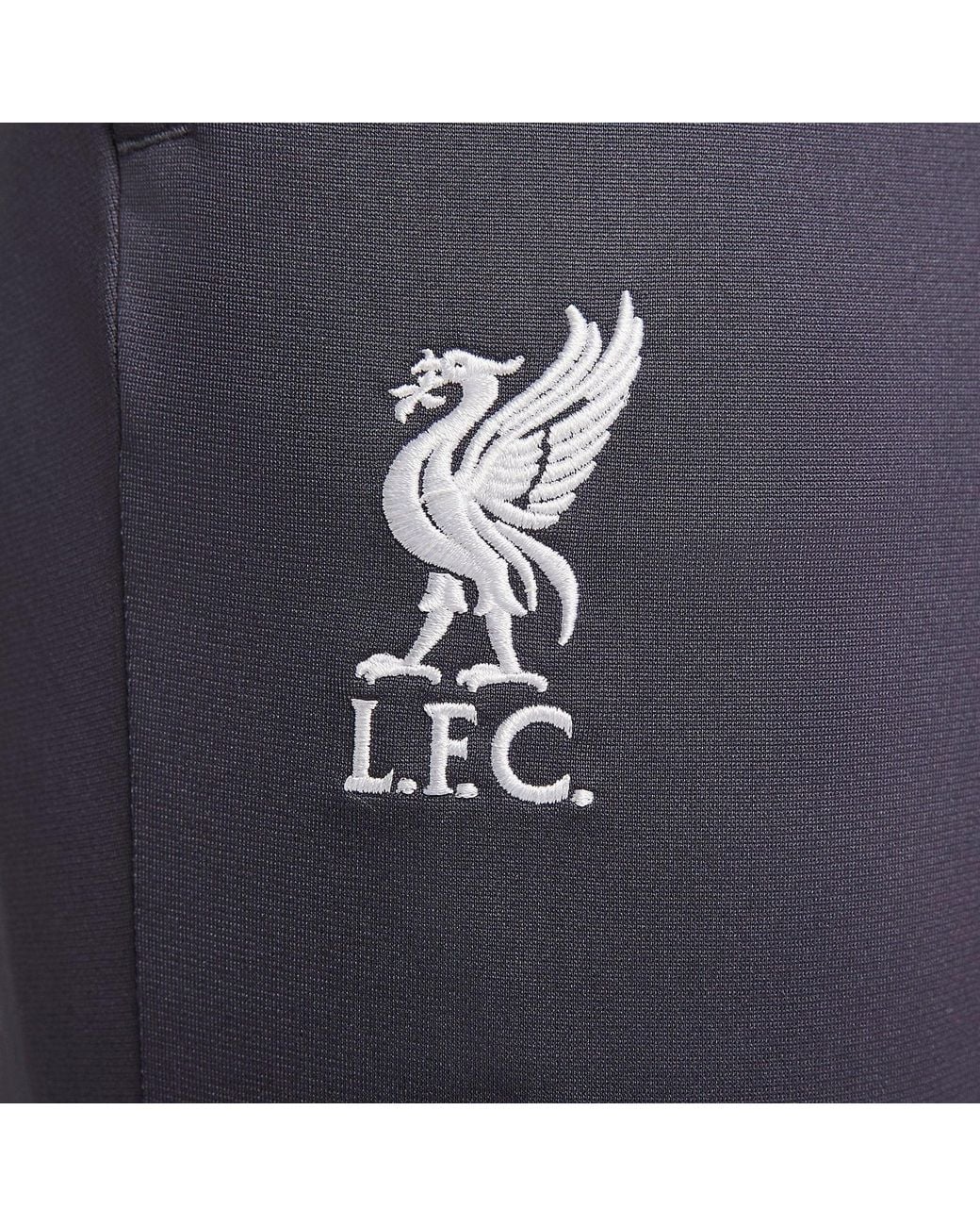 Nike Blue Liverpool Fc Strike Third Dri-Fit Soccer Knit Track Pants for men