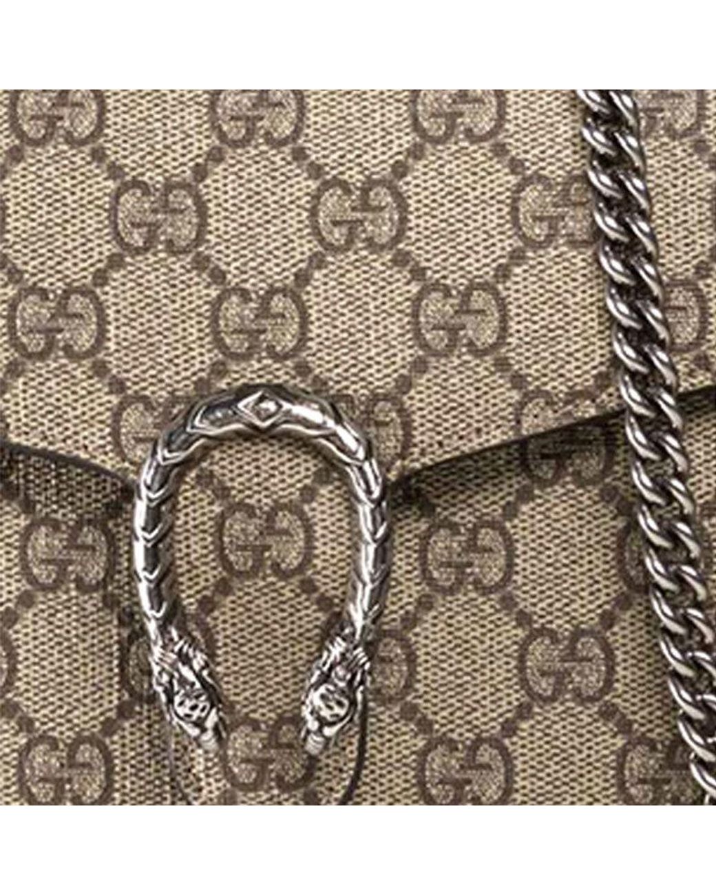 Gucci Metallic (Wmns) Dionysus Series Synthetic Canvaschain Bag Dionysus
