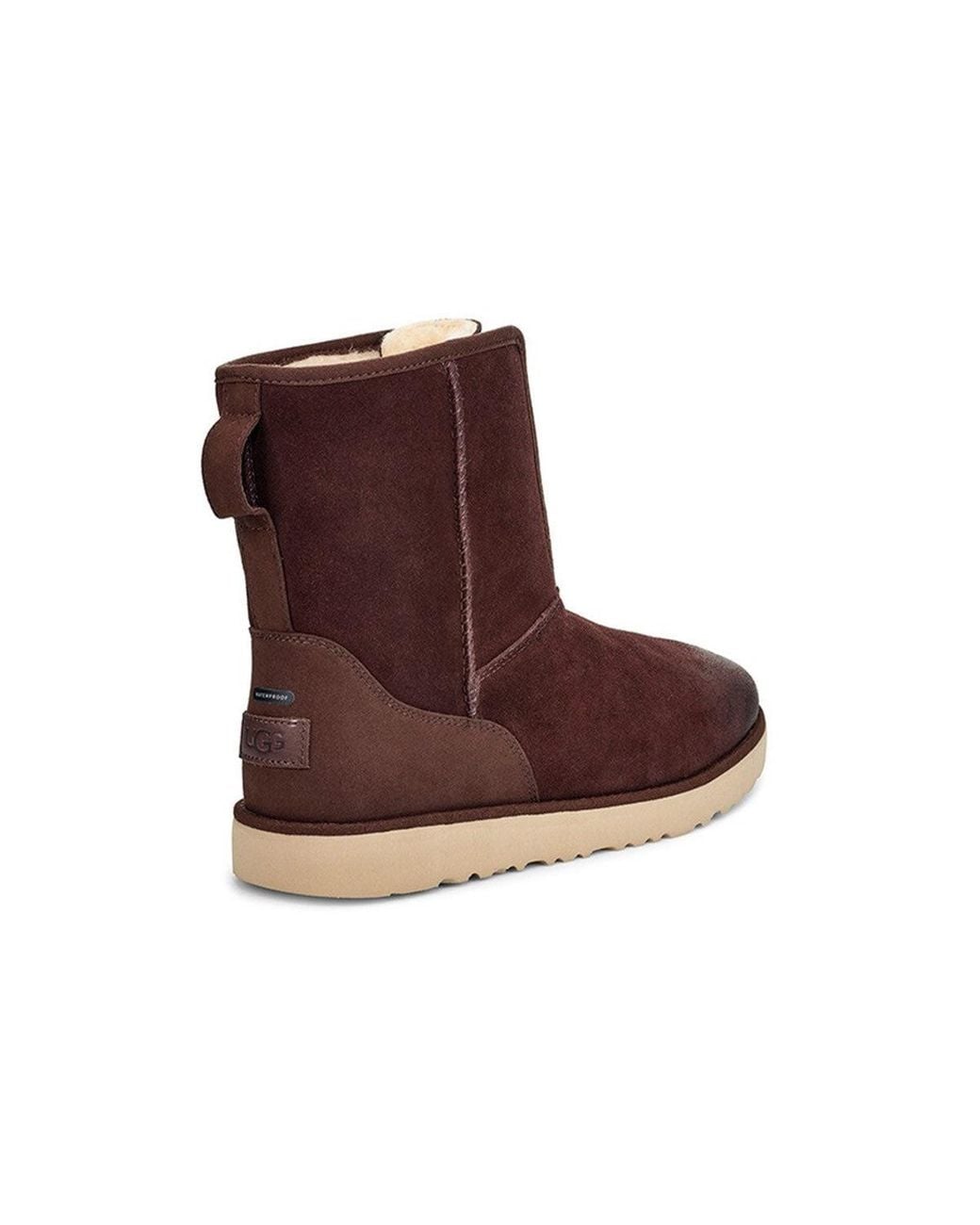 Ugg Brown Classic Short Front Zip Boot 'Stout' for men