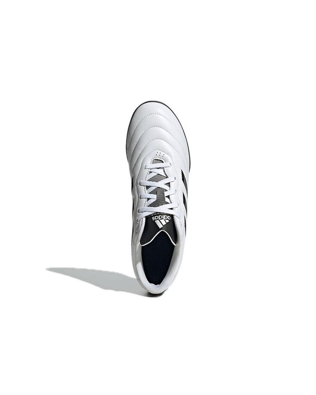 Adidas White Goletto Viii Tf for men