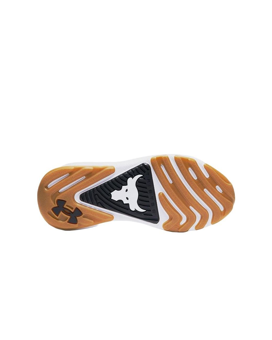 Under Armour Blue Project Rock Training Shoes