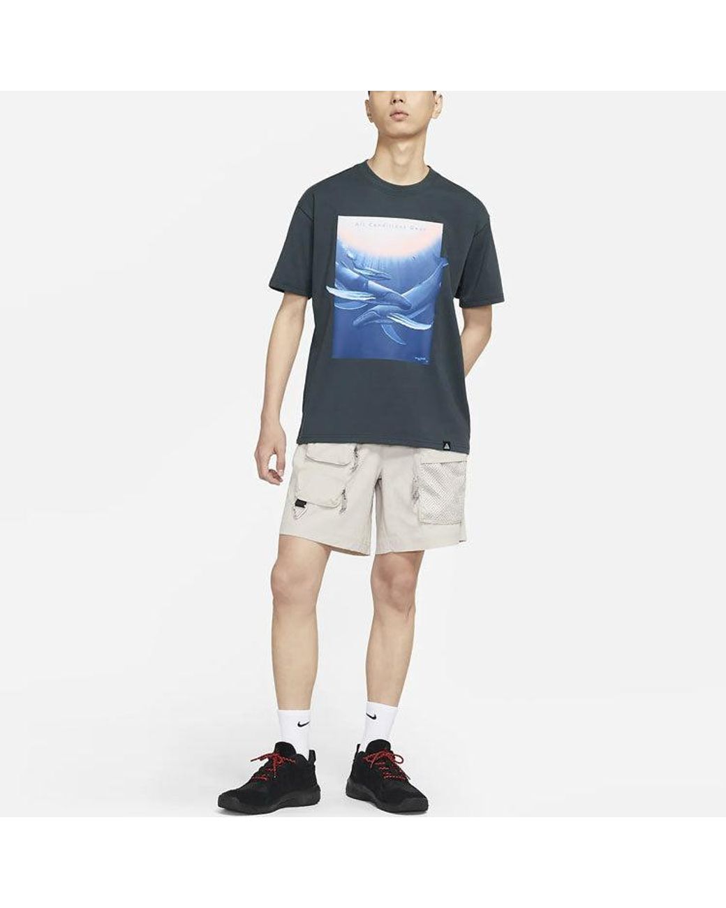 Nike Blue Acg Wyland Funny Printing Sports Loose Round Neck Short Sleeve for men