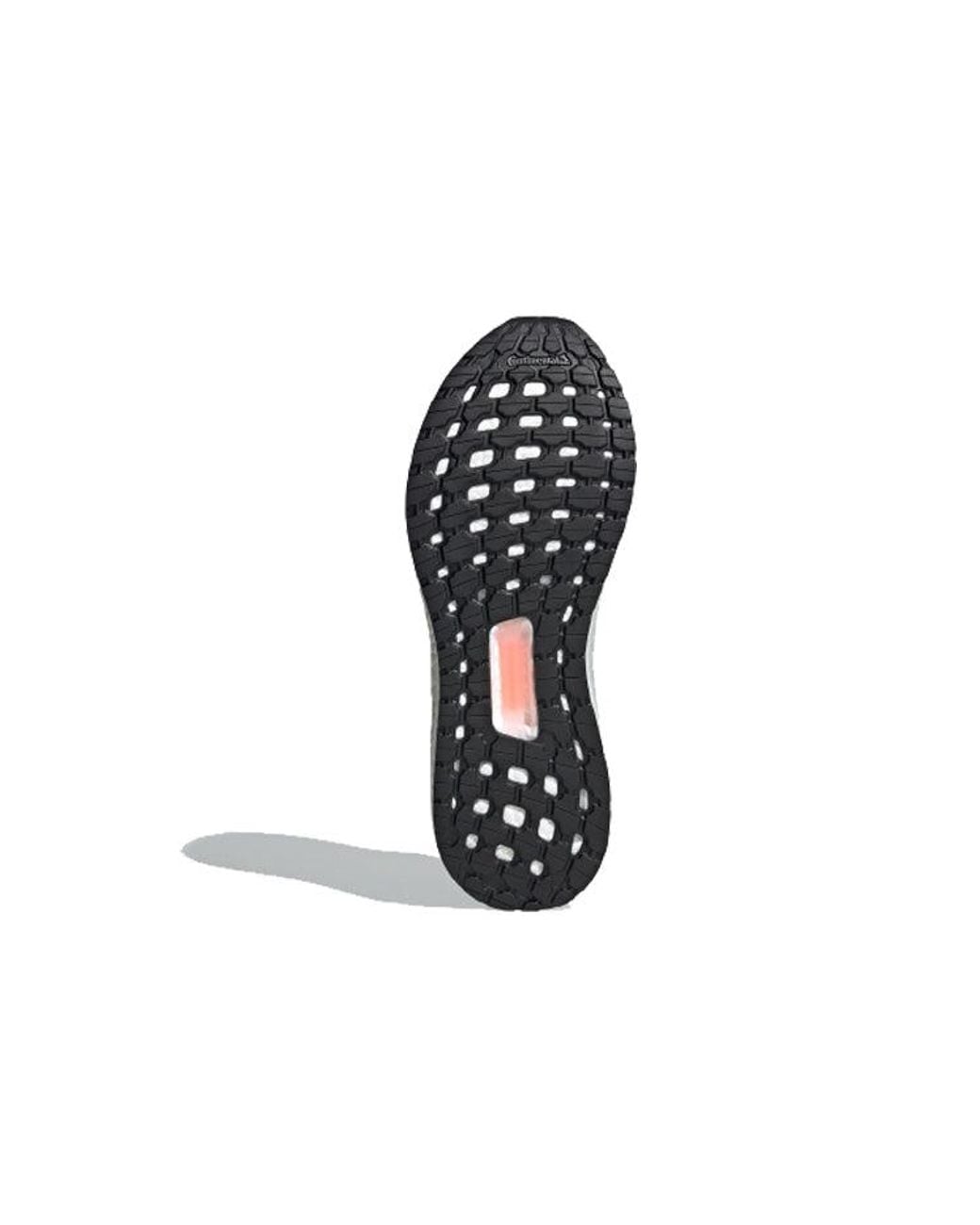 Adidas Blue Ultraboost Pb for men