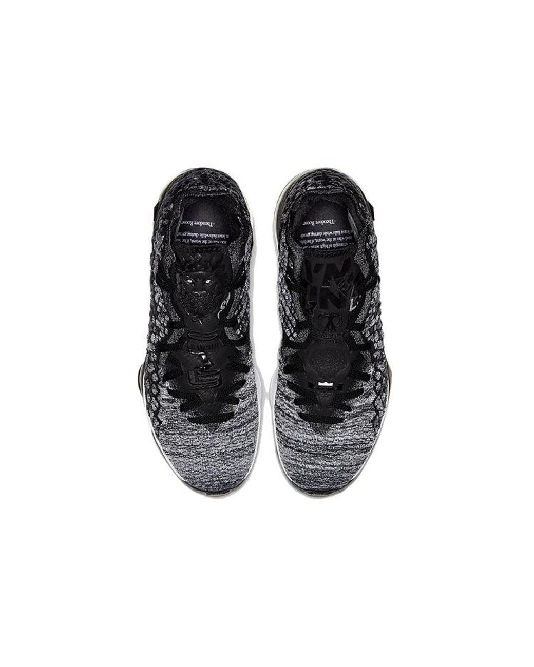 Nike Black Lebron 17 'In The Arena' for men