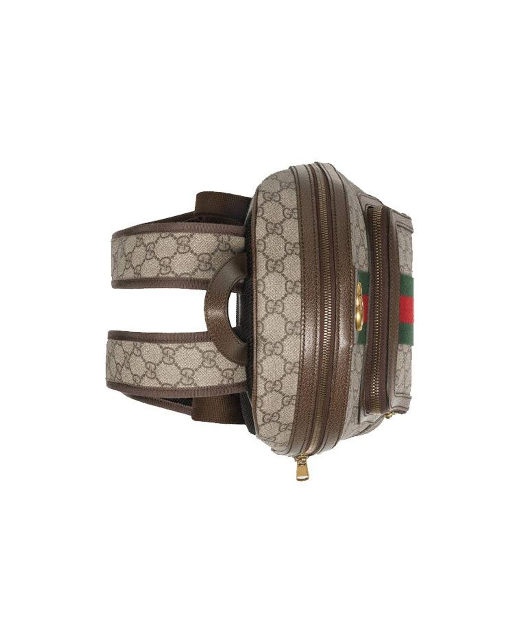 Gucci Brown Ophidia Gg Supreme Monogram Small Backpack for men