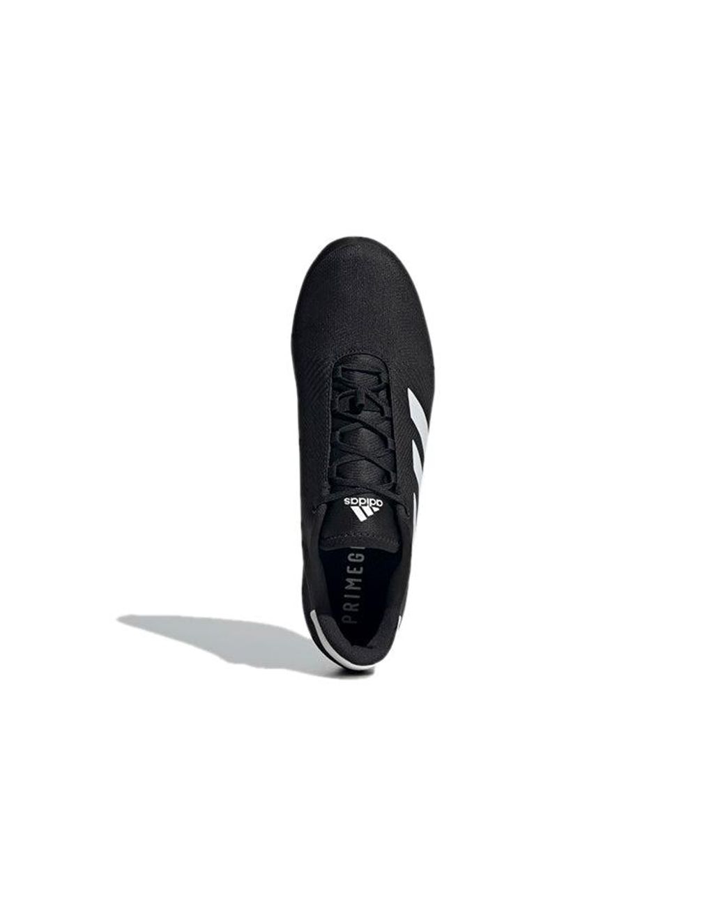 Adidas Black (Wmns) The Road