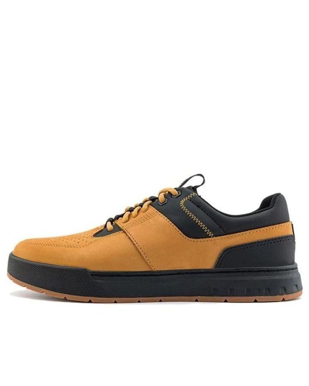 Timberland Blue Maple Grove Low 'Wheat' for men