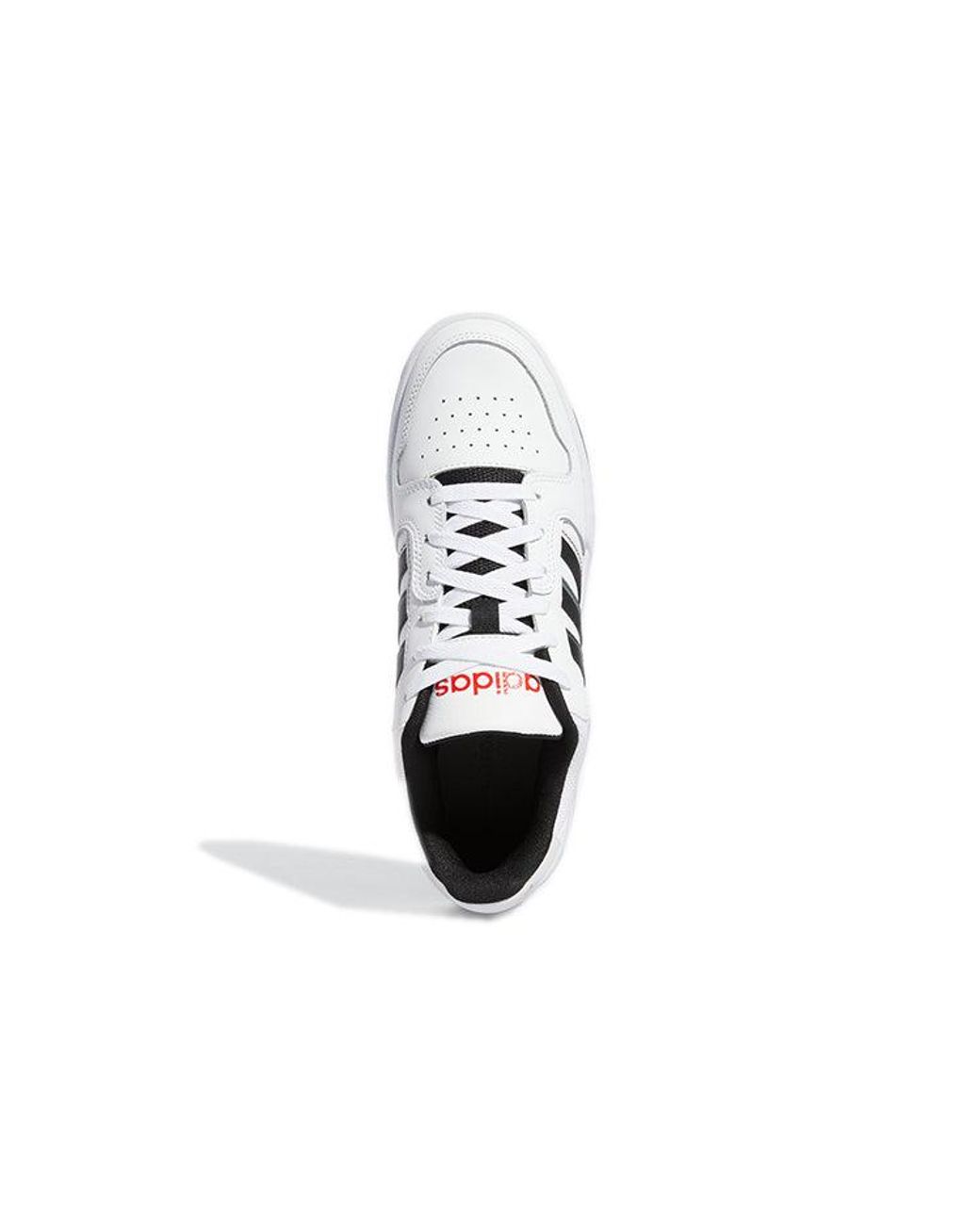 Adidas White Entrap for men