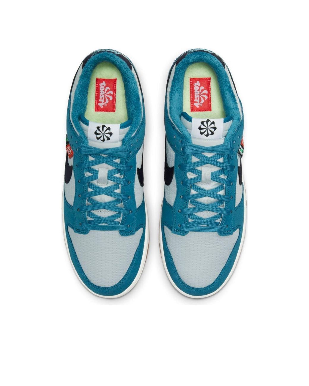 Nike Blue Dunk Low Next Nature 'Toasty for men