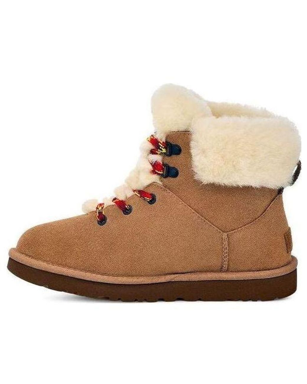 Ugg Brown (Wmns) Classic Mini Alpine Lace