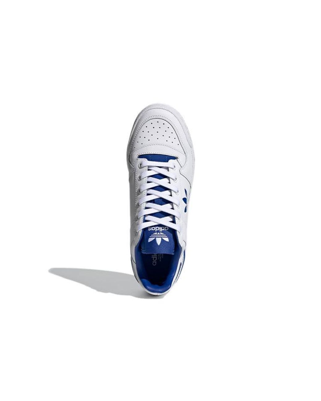 Adidas Blue (Wmns) Forum Bold Royal'