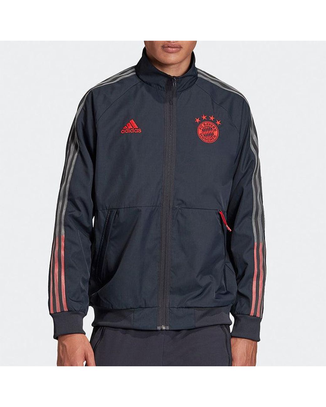 Adidas Blue Fcb Anthem Jkt Bayern Munich Soccer/Football Training Sports Jacket for men