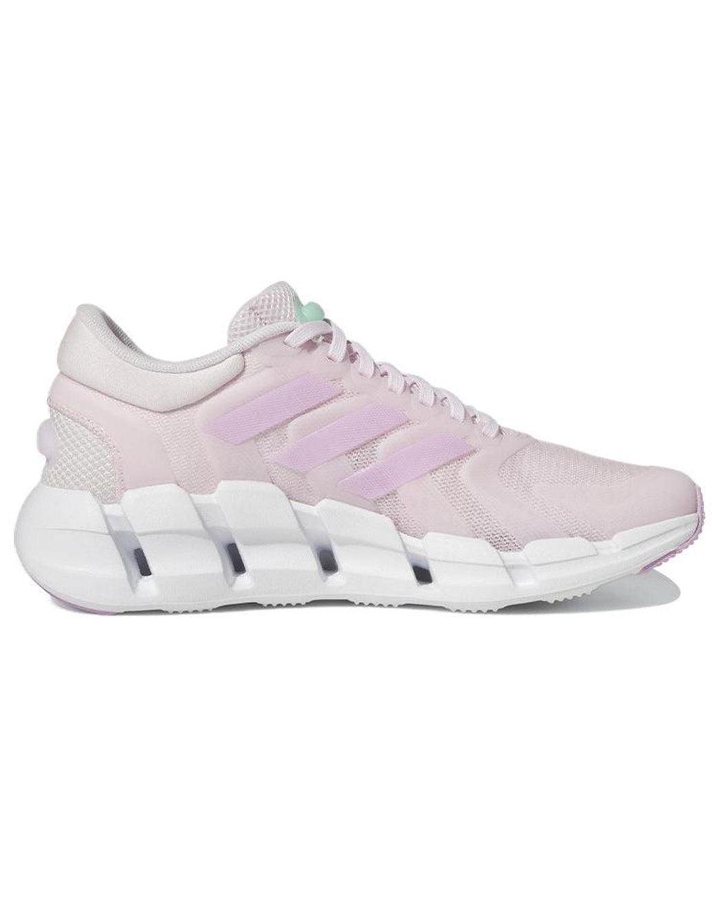 Adidas White (Wmns) Ventice Climacool