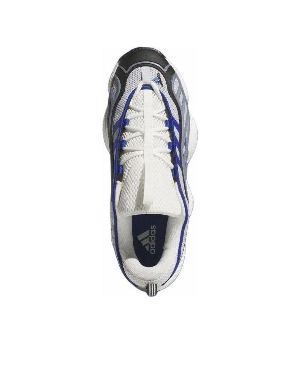 Adidas Blue Intimidation Low Team Royal' for men