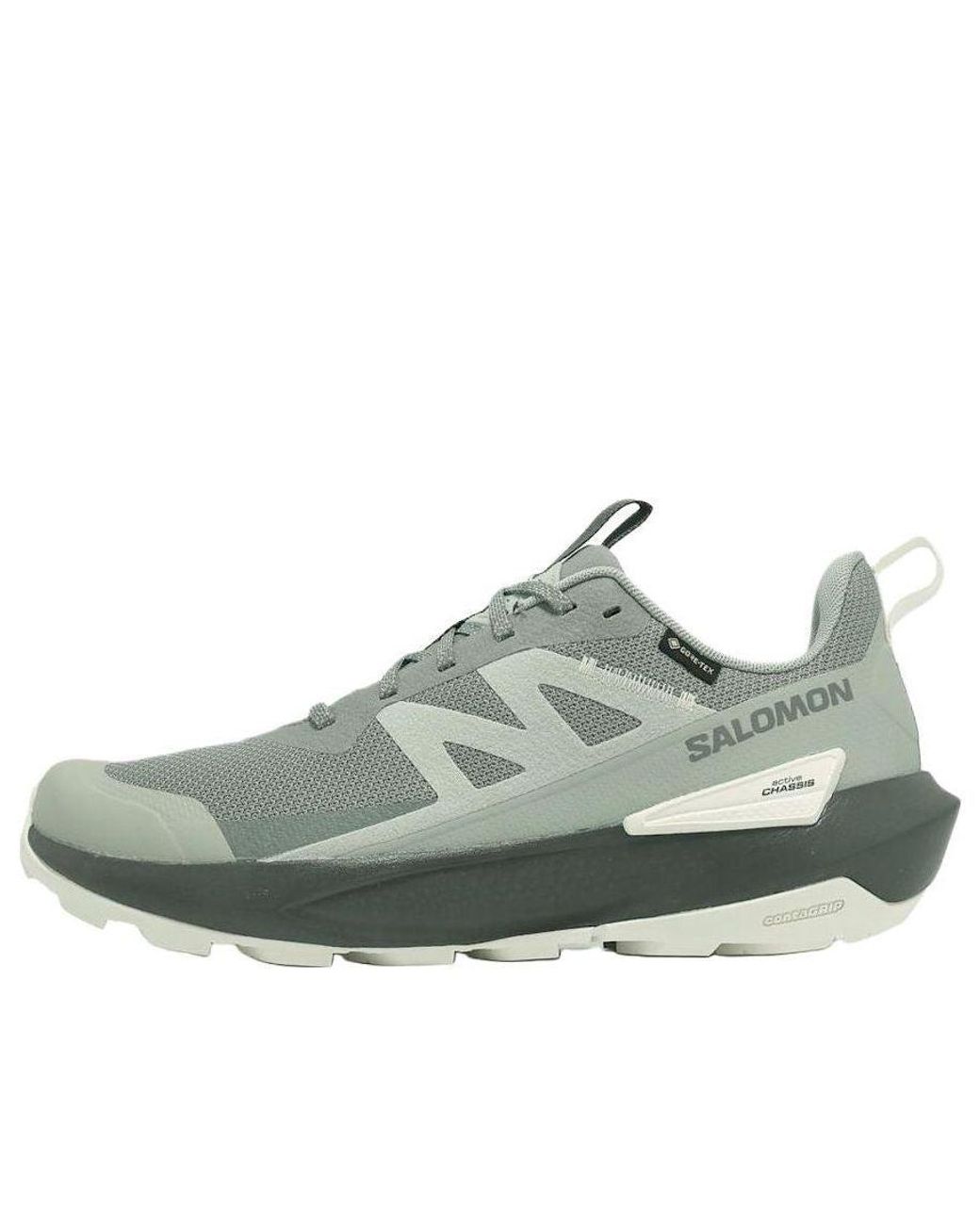 Salomon Green Elixir Activ Gtx for men