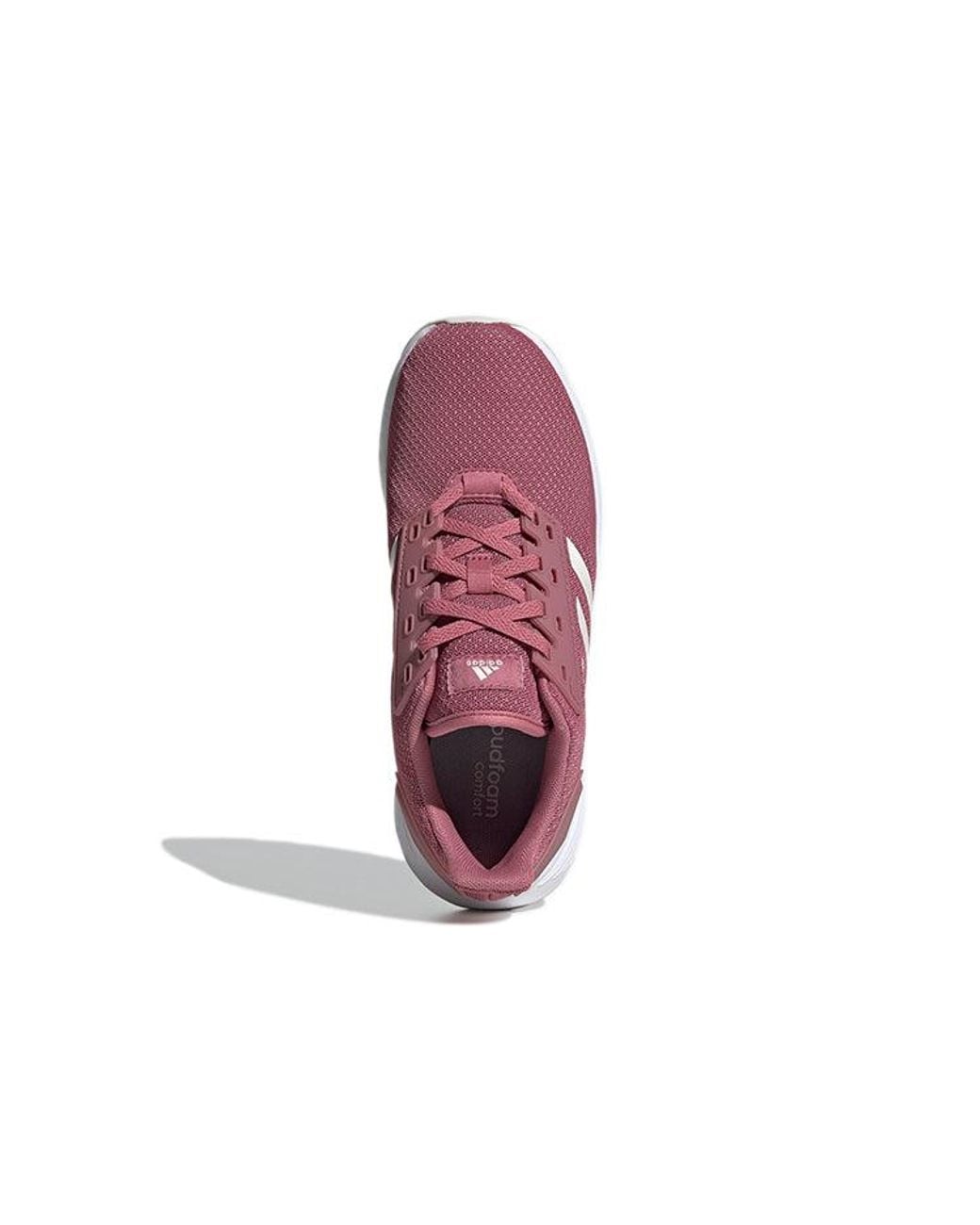 Adidas Purple (Wmns) Duramo 9 'Trace'