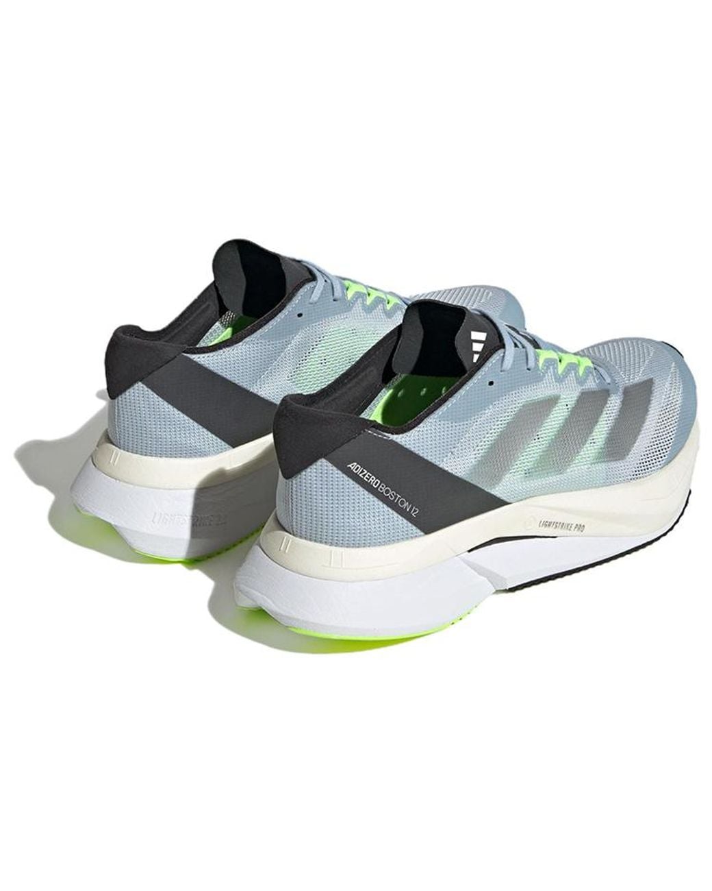 Adidas Blue (Wmns) Adizero Boston 12