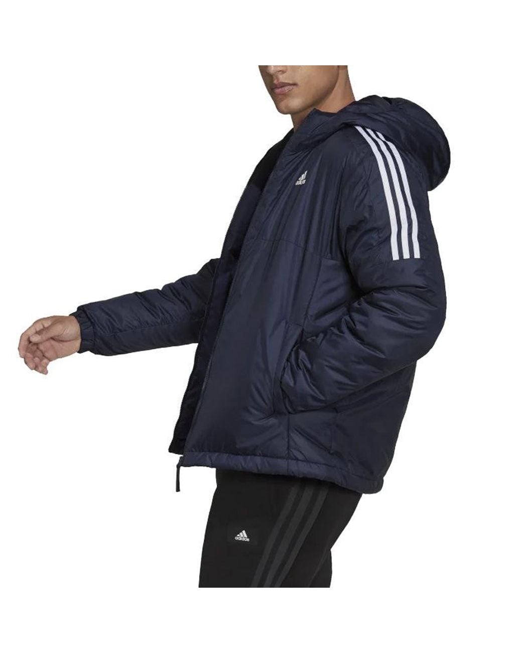 Adidas Blue Essentials Insulated Hooded Jacket for men