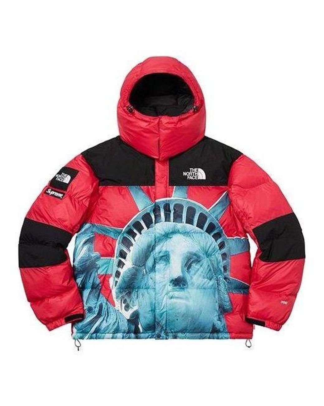 Supreme The North Face Statue of Liberty Hooded Sweatshirt