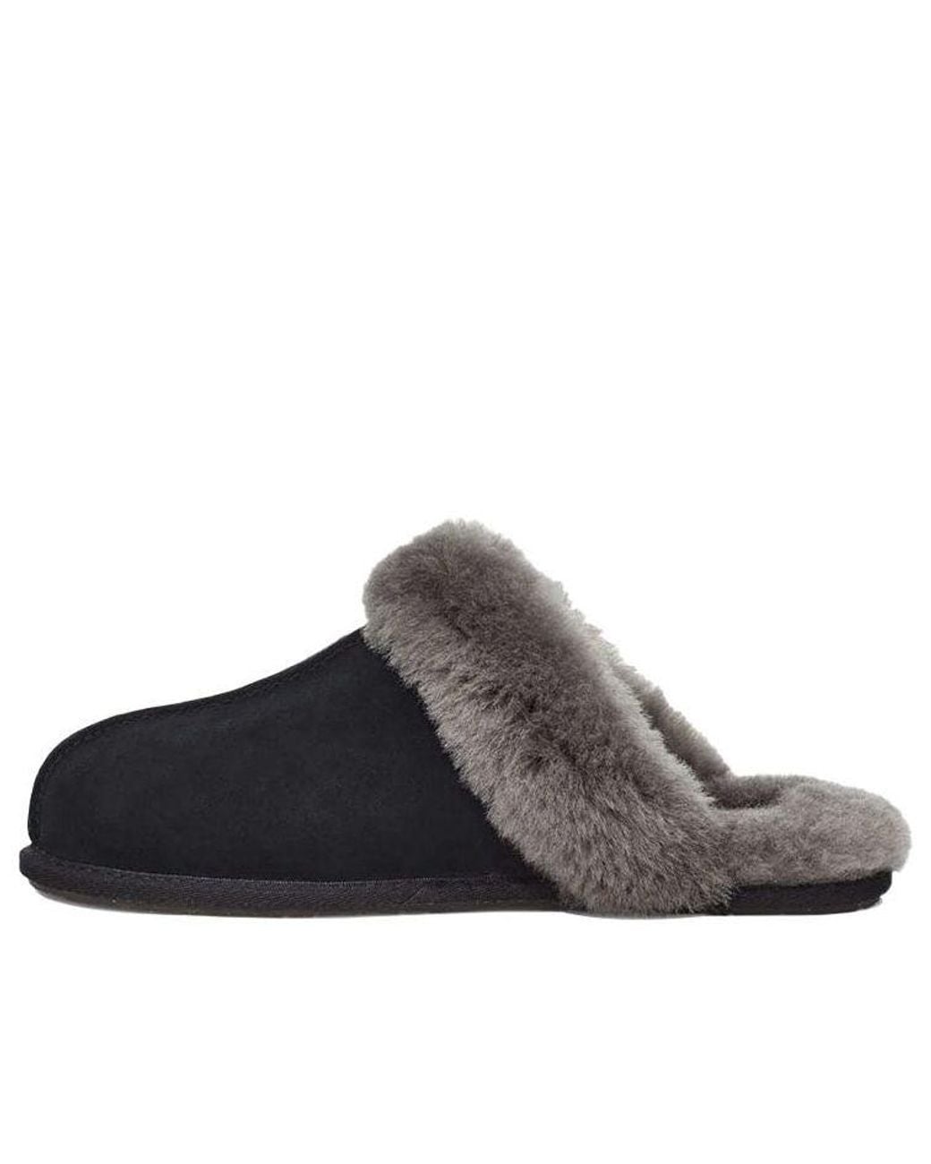 Ugg Brown (Wmns) Scuffettte Ii