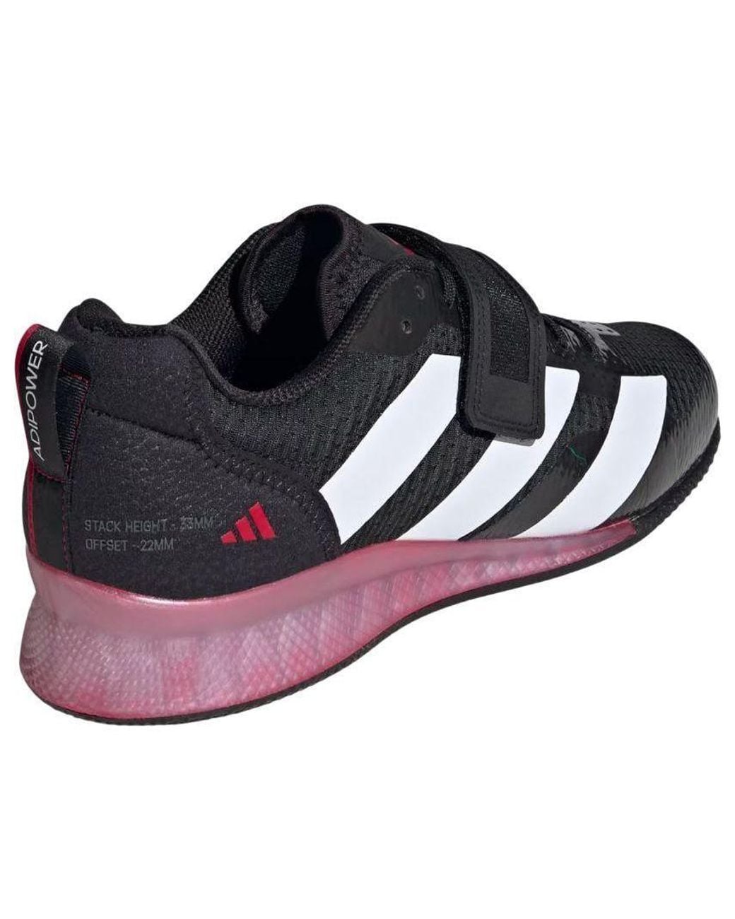 Adidas Blue Adipower Weightlifting 3 Pure Ruby' for men