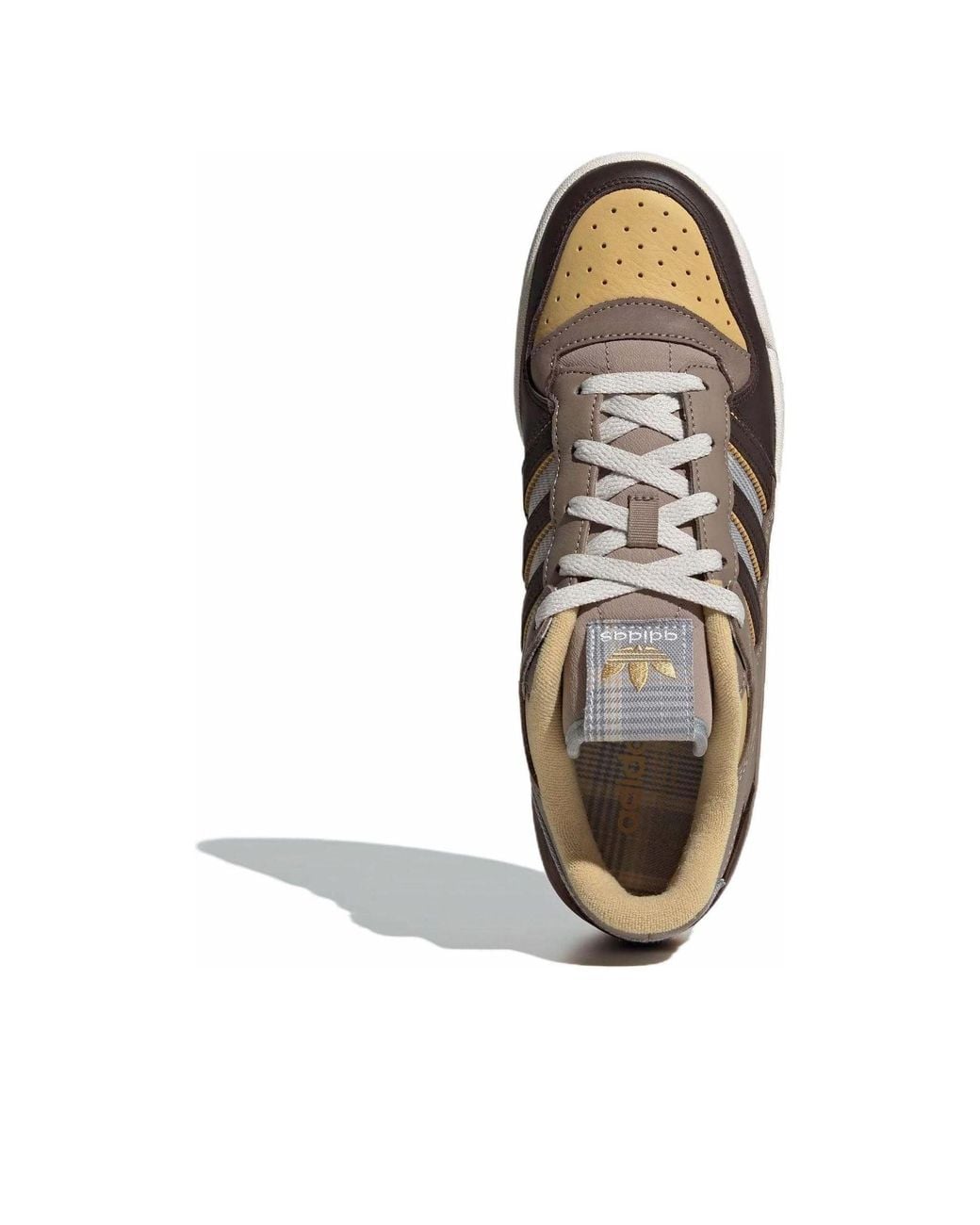 Adidas Brown Forum Low Cl 'Charcoal' for men