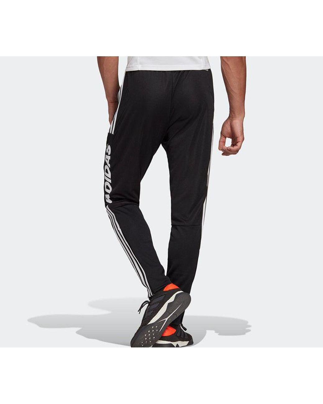 Adidas Black Tiro Ds Pnt Footballsports Long Pants for men