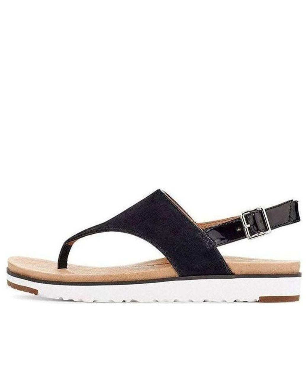 Ugg Blue (Wmns) Alessia