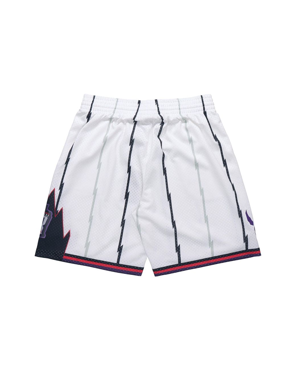 Just Don Toronto Raptors 1998-99 Basketball Mesh Shorts NBA Purple Mens